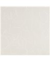 COSTA SPINETAIL CT21-04.jpg