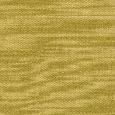 LINO LIVELY LN21-46.jpg