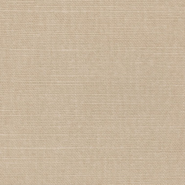 LINO WHITE WING LN21-09.jpg