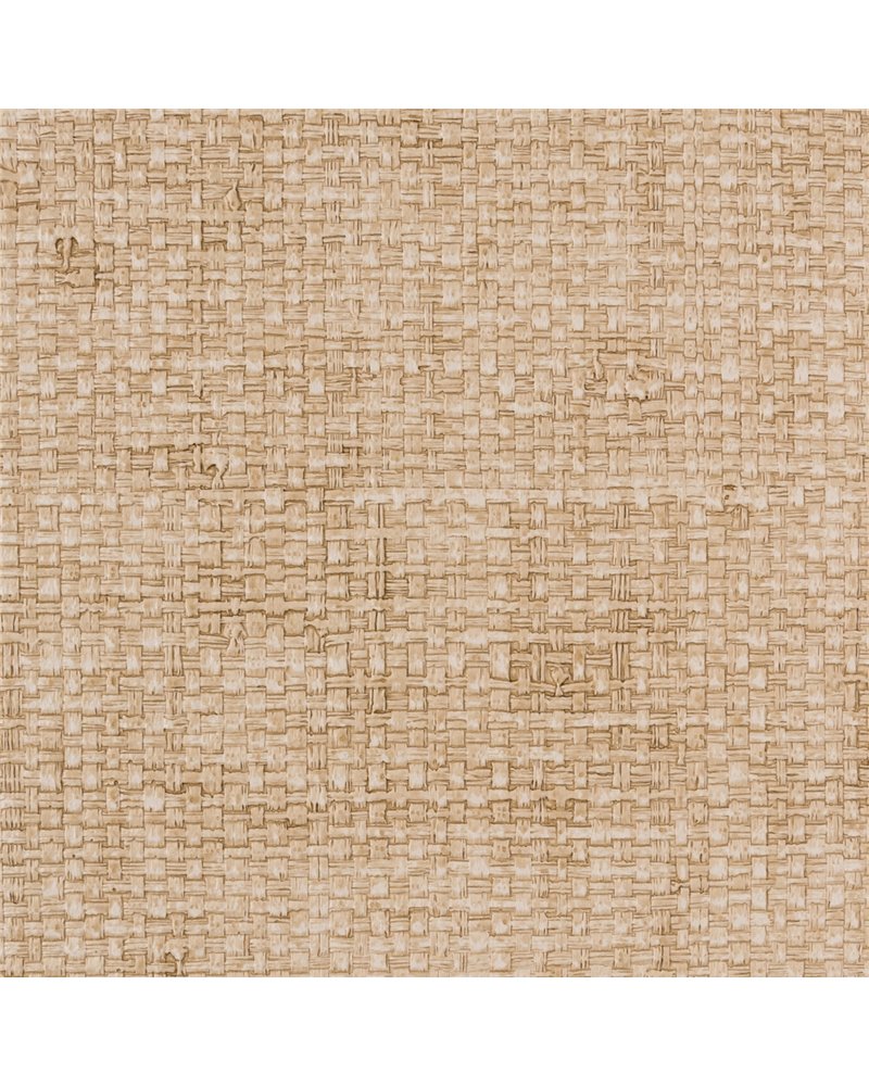 OTIS BAMBOO T521-13.jpg OTIS BAMBOO T521-13.jpg