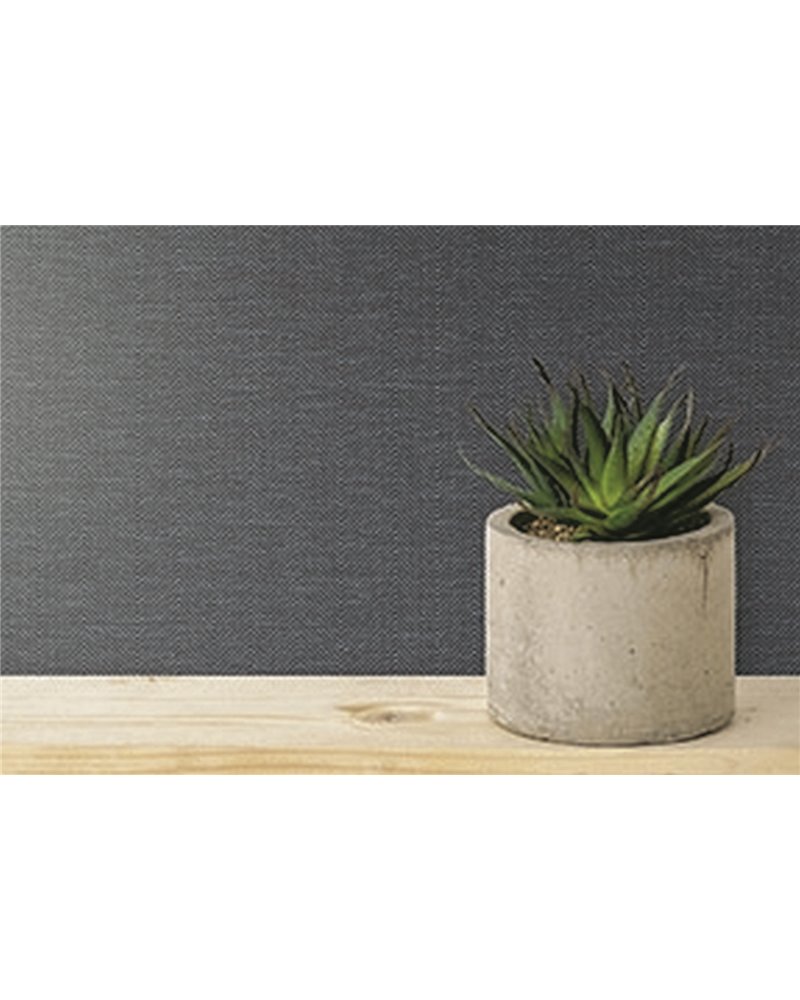 CROSS THE LINE-INTUITIVE-C822-20