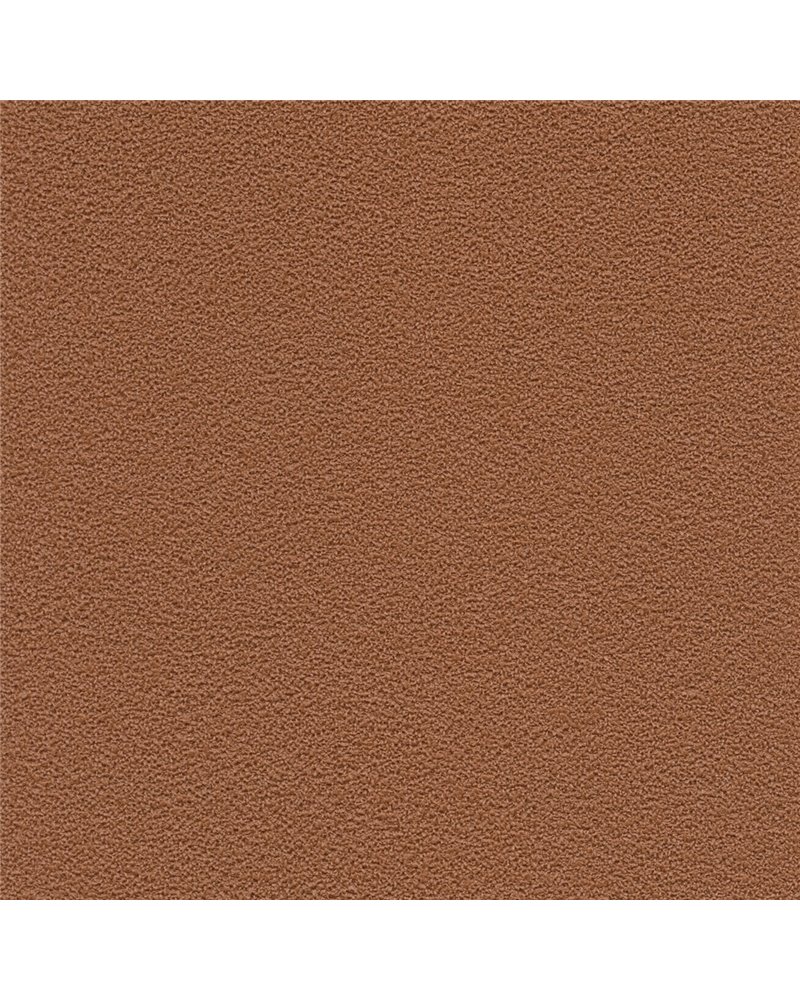 DESERT SAND 5821-61 DESERT SAND 5821-61