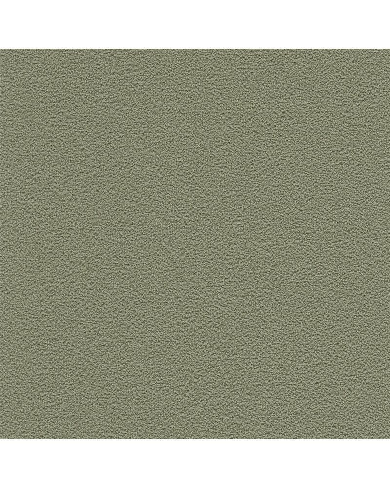 DESERT SAND 5821-81 DESERT SAND 5821-81