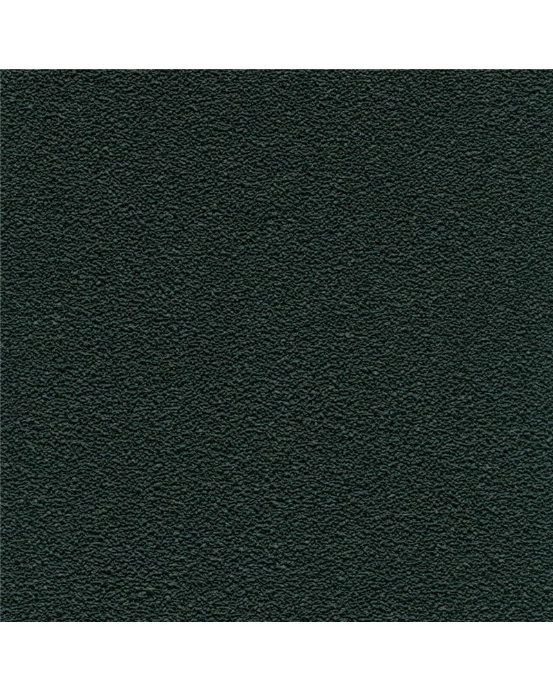 DESERT SAND 5821-99 DESERT SAND 5821-99