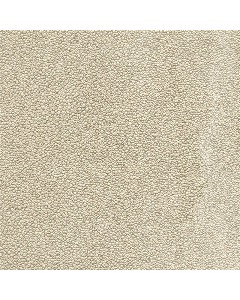 TIBURON SHAGREEN U421-15