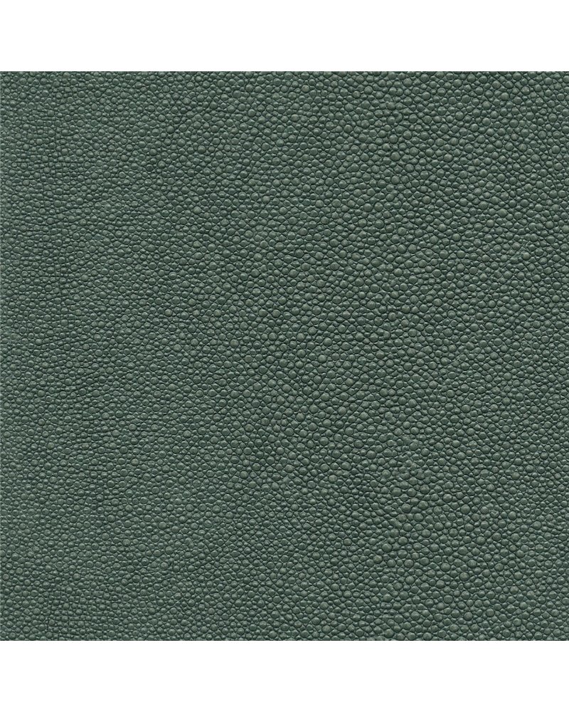 TIBURON SHAGREEN U421-89