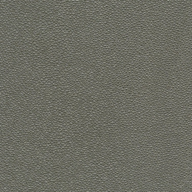 TIBURON SHAGREEN U421-95