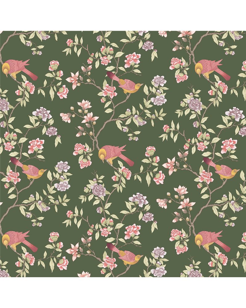 Aderyn Olive 0267ADOLIVE Aderyn Olive 0267ADOLIVE