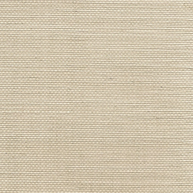 ALIGNED GLAZED WEAVE 5741