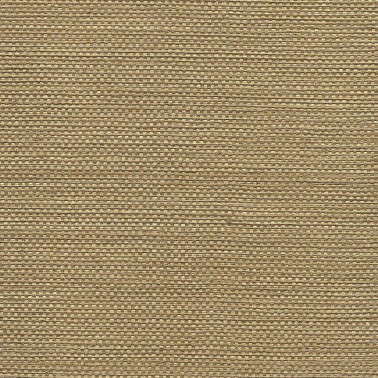 ALIGNED GLAZED WEAVE 5744