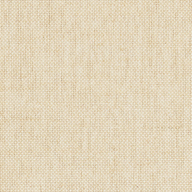 JAPANESE PAPER 1666