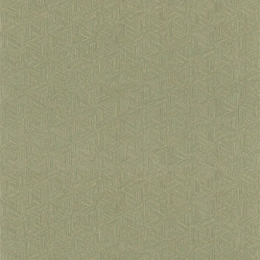 Lindu Kaki 76480712