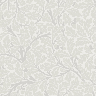 Oak Tree 82026