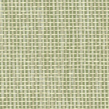 Papyrus Olive W7930-13