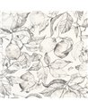 Lemon Tree Fusain 200270900