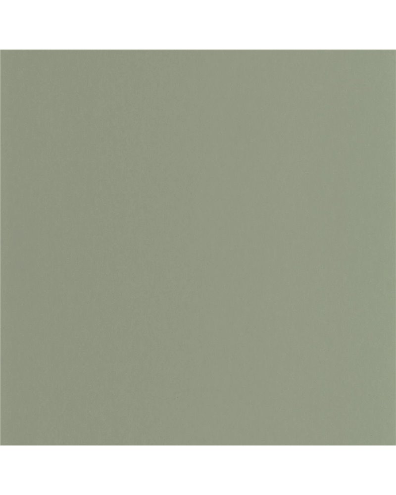Pigments Celadon 200336303 Pigments Celadon 200336303