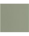 Pigments Celadon 200336303