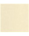 Etamine Beige Sable 200251303