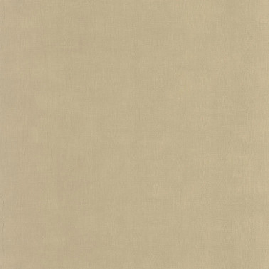 Etamine Beige Ficelle 200251919