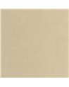 Etamine Beige Chamois 200251616