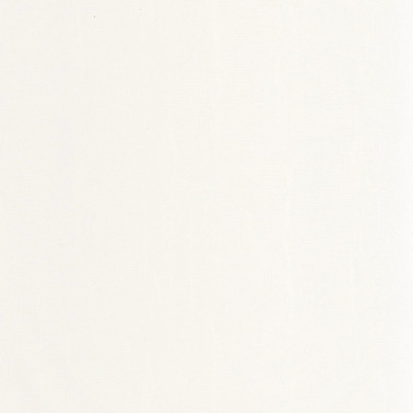 Etamine Blanc Coton 200250101
