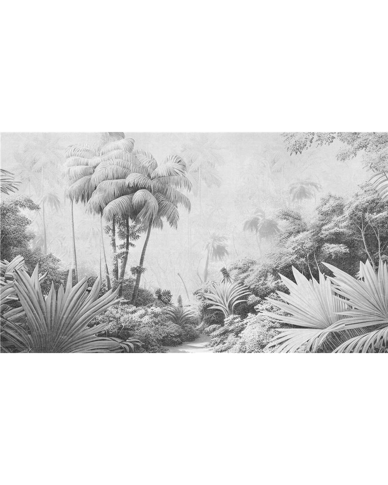 Clareza Graphite