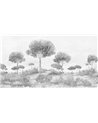 Creta Graphite