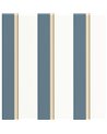 Linear Bleu 105530676