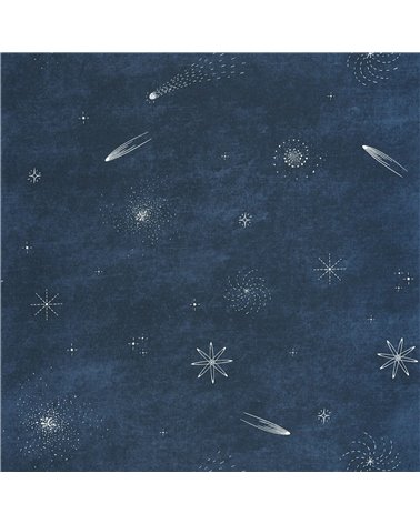 Ciel Etoile Bleu Nuit Phosphoresecent 105696069