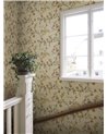 Clara Oat S10400