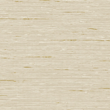 A Lot More Textures II CP90205