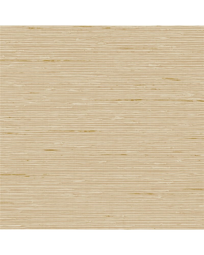 A Lot More Textures II CP90207 A Lot More Textures II CP90207