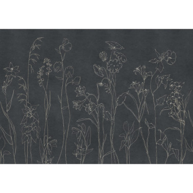 Countryside Black B00366
