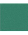 Telis Persian JOY307
