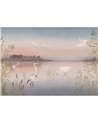 Marais Sauvage Rose Crepuscule S 200034307
