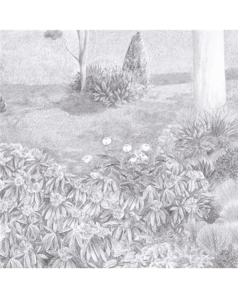 Jardin Public Noir Et Blanc DOM3003