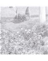 Jardin Public Noir Et Blanc DOM3003