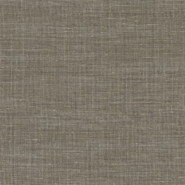 Shinok Gris Taupe 73813782