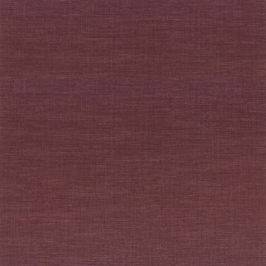 Shinok Pourpre 73810100