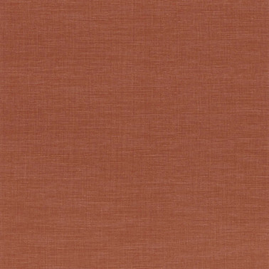 Shinok Orange Flamboyant 73819874