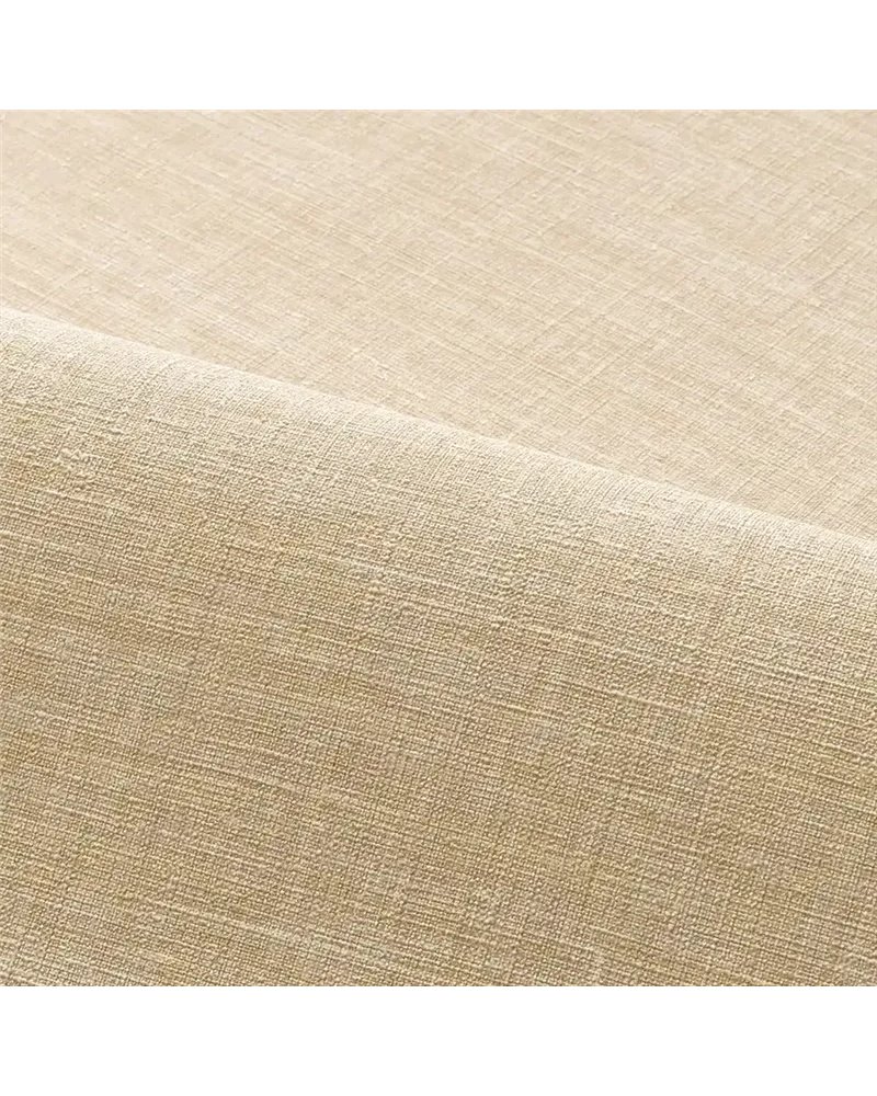 Shinok Champagne 73810314