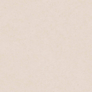17192