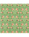 Pimpernel Shamrock Watermelon MVOF227213