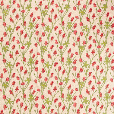 Monkshood Rhubarb MVOF227220