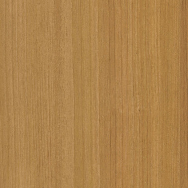 CT22 Honey Birch