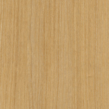 CT41 Yellow Noce