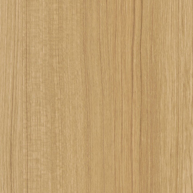 CT45 Beige Palm Tree