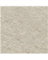 NH35 Beige Raw Granite