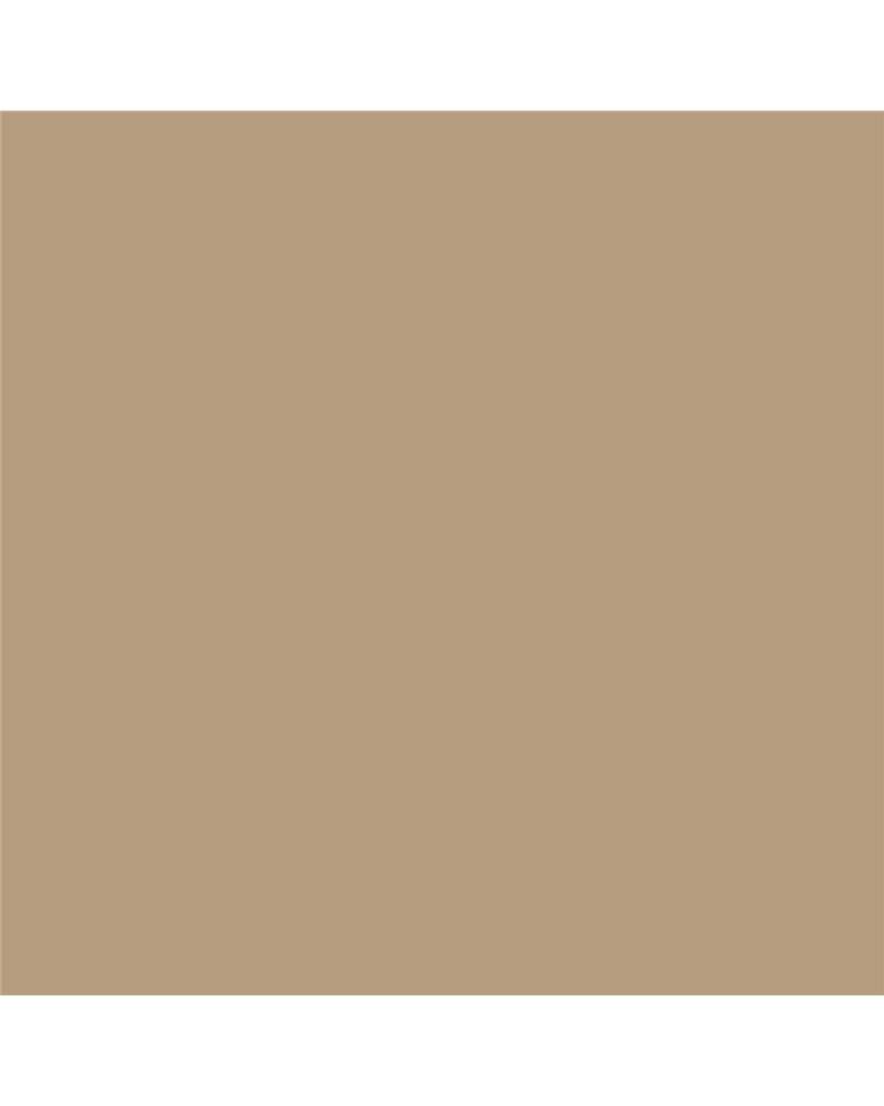 NE55 Caffe Latte NE55 Caffe Latte