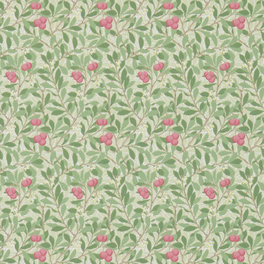 Arbutus Olive Pink DM3W214720